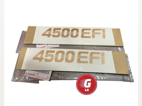 كتابه 4500 ذهبي شاص  اصلي الحبه