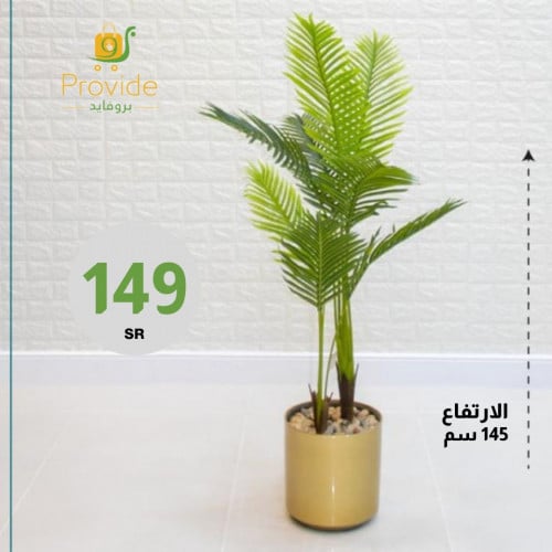 شجرة نخل مركن ذهبي