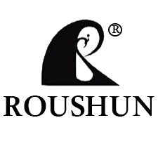 روشن - ROUSHUN