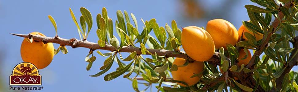 اوكاي بيور ناتشورال - Okay Pure Naturals