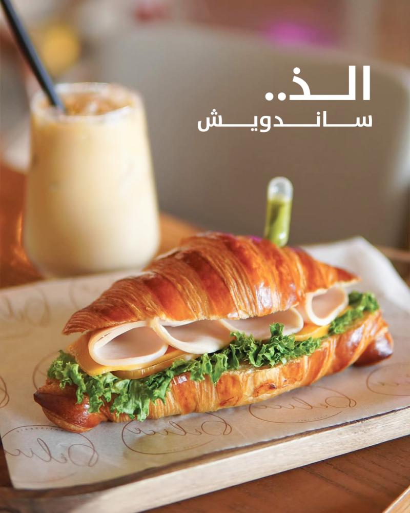 تصميم المنشورات