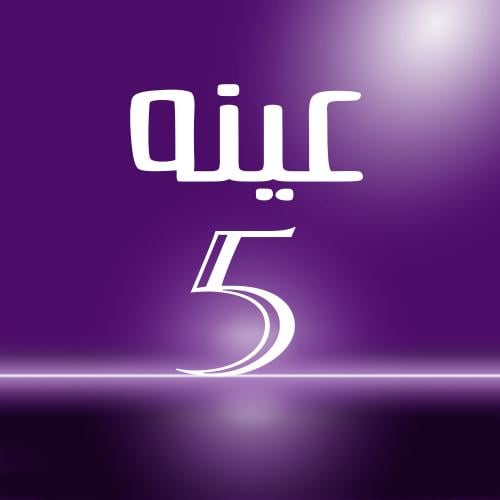 عينة 5