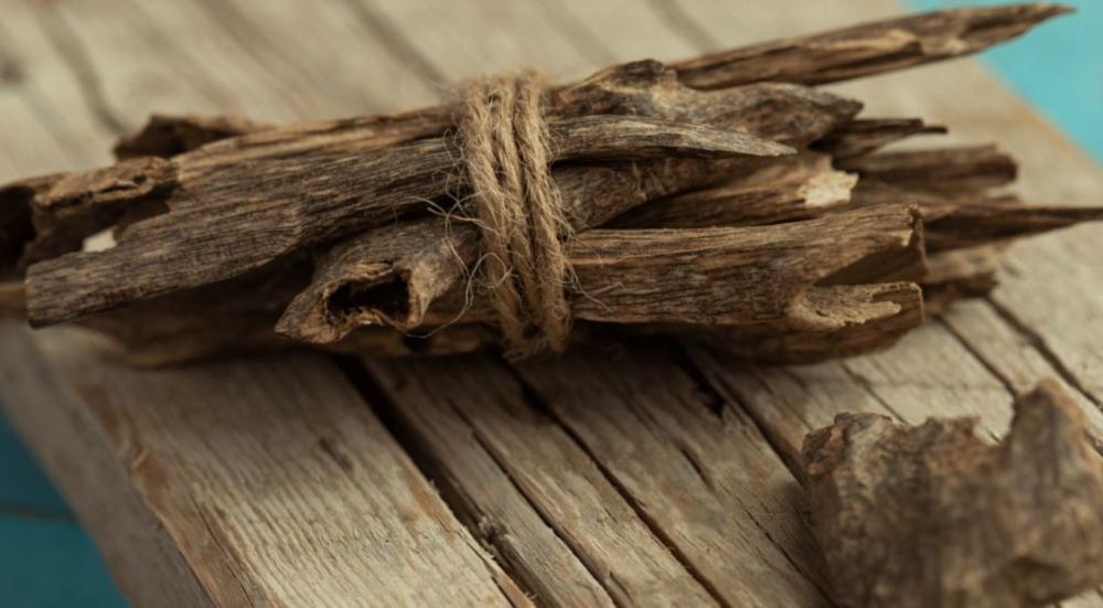 الفرق بين العود الطبيعي والمحسن