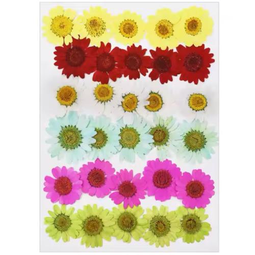 ورد مجفف ملون متنوع