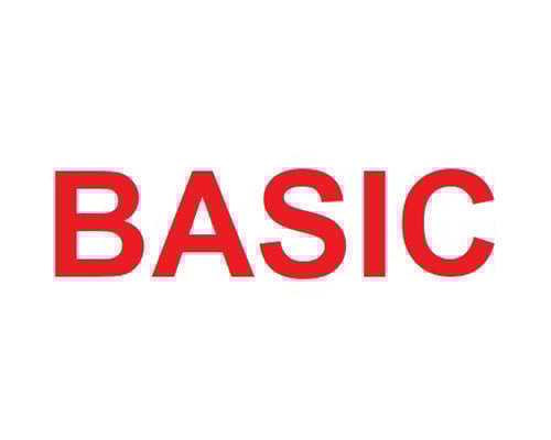 بيسك