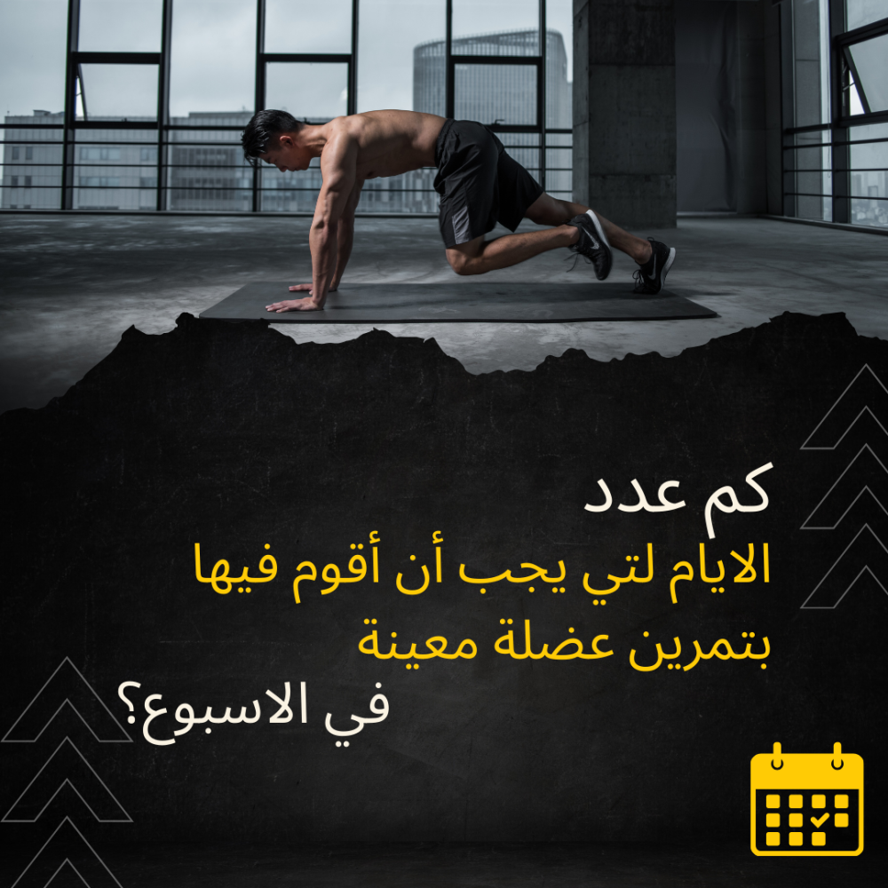 كم عدد الأيام التي يجب أن أقوم فيها بتمرين عضلة معينة في الأسبوع؟