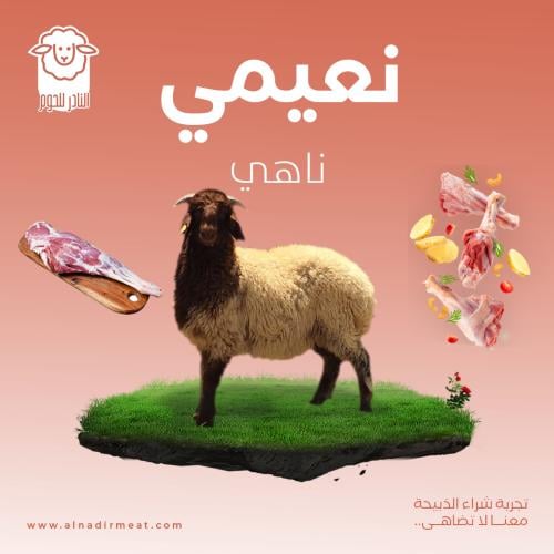 نعيمي - ناهي