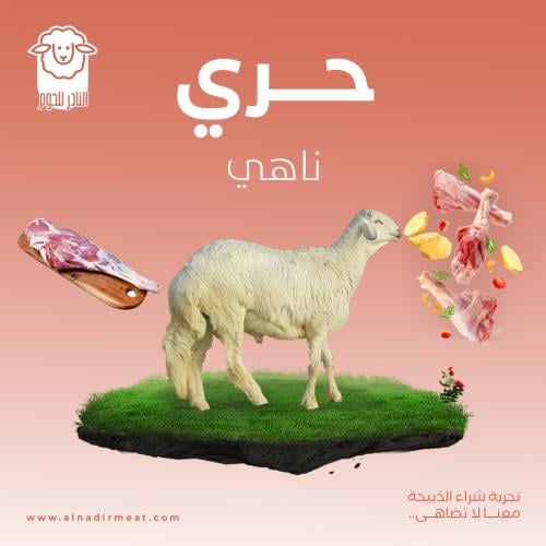حري - ناهي
