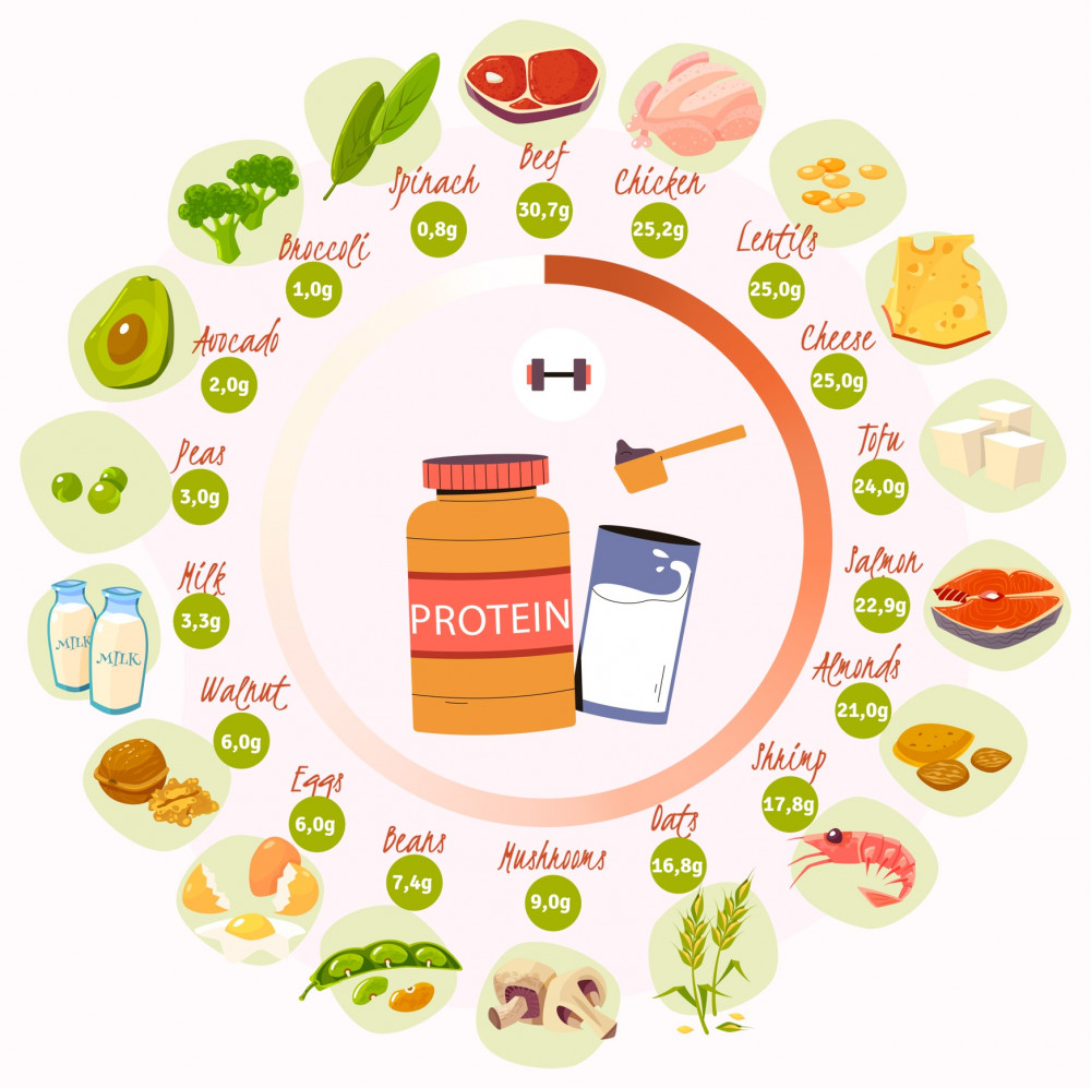 البروتينات والمكملات الغذائية