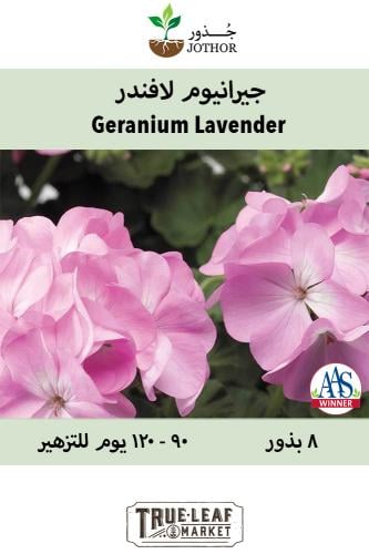 بذور جيرانيوم لافندر - Lavender Geranium Seeds
