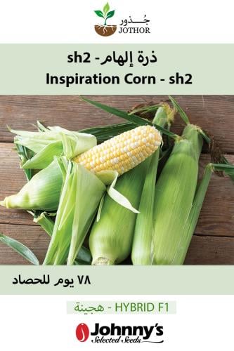 بذور ذرة الهام -