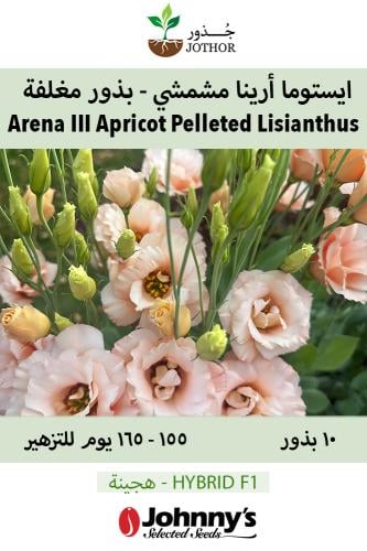 بذور ايستوما ارينا مشمشي - ARENA III APRICOT F1 Pelleted Lisianthus Seeds