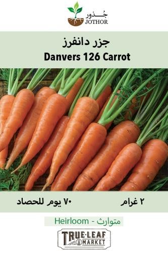 بذور جزر دانفرز -  Danvers 126 Carrot Seeds