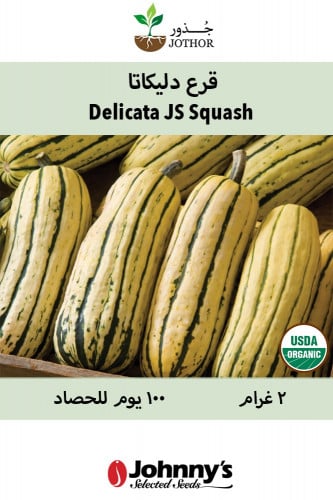 بذور قرع ديليكاتا - Delicata JS Organic Delicata Squash Seeds