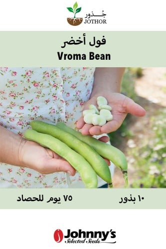 بذور فول اخضر - Vroma Bean