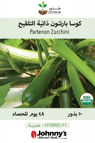 بذور كوسا ذاتية التلقيح - Partenon Zucchini Seeds
