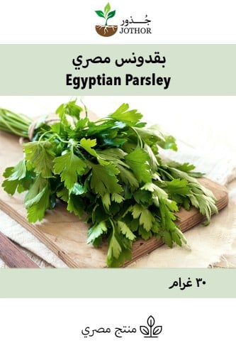 بذور بقدونس مصري - Egyptian Parsley Seeds