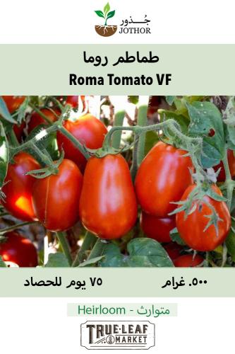 بذور طماطم روما - Roma Organic Tomato Seeds