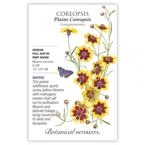 بذور كوريبسيس السهول - Coreopsis Plains Seeds