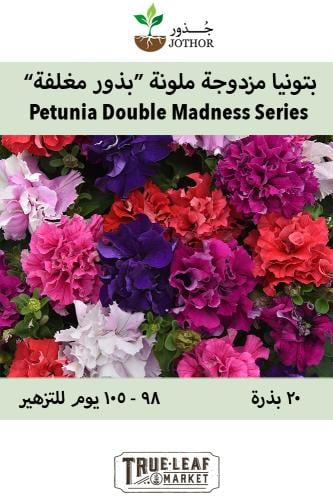 بذور بتونيا دبل ملونة -  Double Madness Series Mix Petunia Seeds