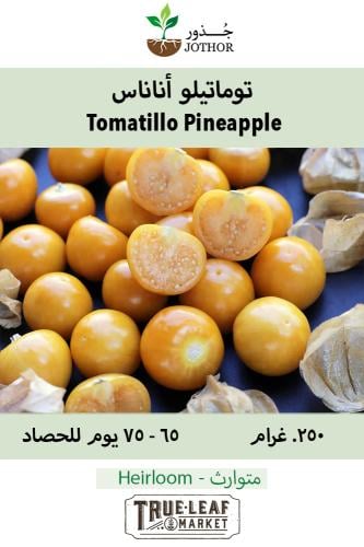 بذور توماتيلو الأناناس - Tomatillo Seeds - Pineapple