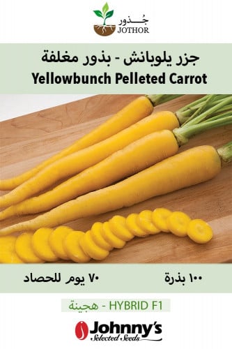بذور جزر يلوبانش - Yellowbunch Pelleted (F1) Carrot Seeds
