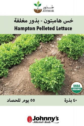 بذور خس هامبتون - بذور مغلفة - Hampton Organic Pel...