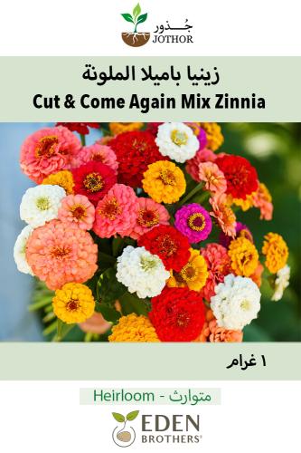 بذور زينيا باميلا الملونة - Zinnia Seeds - Pumila / Cut & Come Again Mix
