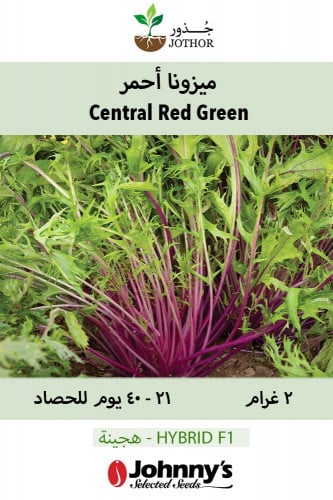 بذور ميزونا أحمر - Central Red Asian Green Seeds