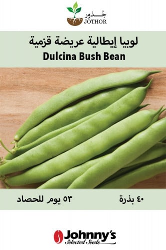 بذور "فاصوليا" لوبيا عريضة قزمية - Dulcina Bean Seeds