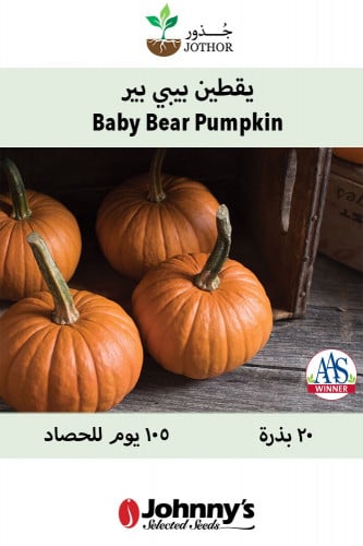 بذور يقطين بيبي بير - Baby Bear Pumpkin Seeds
