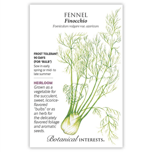 بذور شومر - Finocchio Fennel Seeds