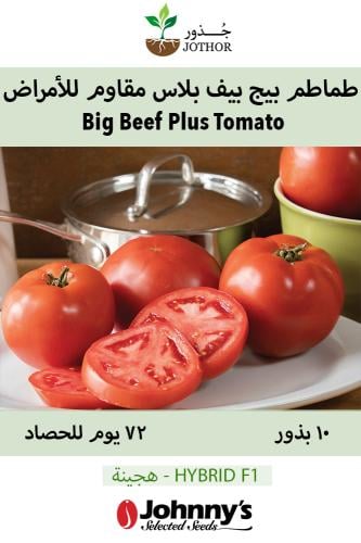بذور طماطم بيج بيف بلاس مقاوم للأمراض - Big Beef Plus (F1) Tomato Seed