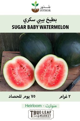 بذور بطيخ بيبي سكري - Sugar Baby Watermelon Seeds