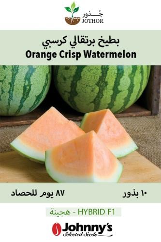بذور بطيخ برتقالي كريسبي - Orange Crisp Watermelon Seed