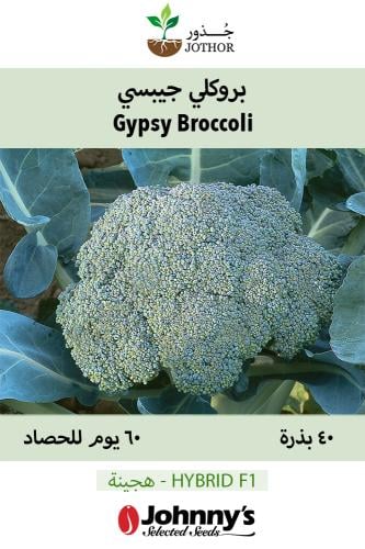 بذور بروكلي جيبسي - Gypsy (F1) Broccoli Seed