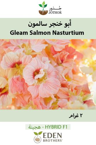 بذور ابو خنجر السالمون - Nasturtium Gleam Salmon S...