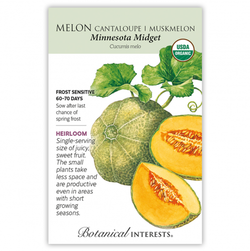 بذور شمام عضوي - Melon Minnesota Midget Seeds