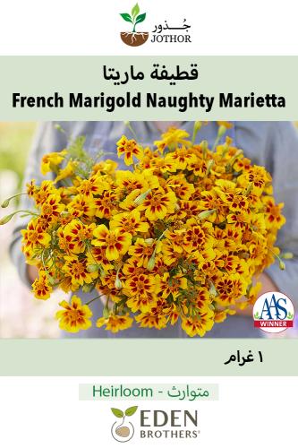 بذور قطيفة ماريتا - French Marigold Naughty Marietta Seeds