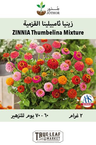 بذور زينيا ثامبلينا قزمية - Zinnia Seeds - Thumbelina Mixture