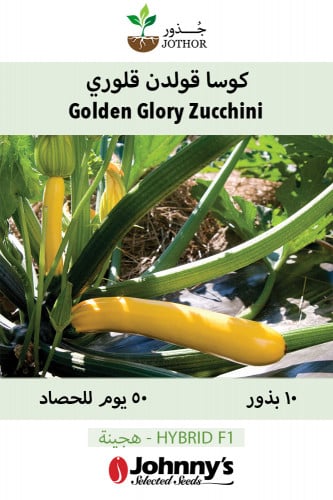 بذور كوسا قولدن قلوري - Golden Glory (F1) Zucchini Squash Seeds