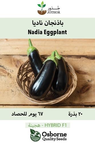 بذور باذنجان ناديا أسود - Nadia Eggplant Seeds