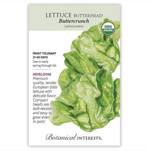بذور خس بترهيد كرانش  - Lettuce Butterhead Buttrcrnch Org Seeds
