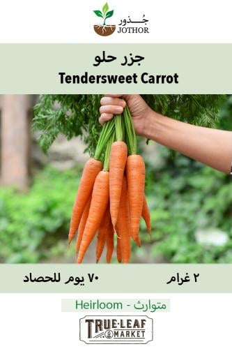 بذور جزر حلو -  Tendersweet Carrot Seeds