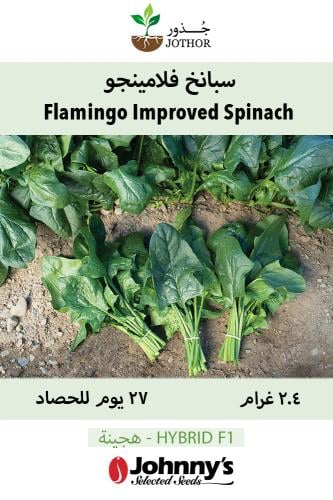 بذور سبانخ فلامنجو - Flamingo Improved Spinach Seeds