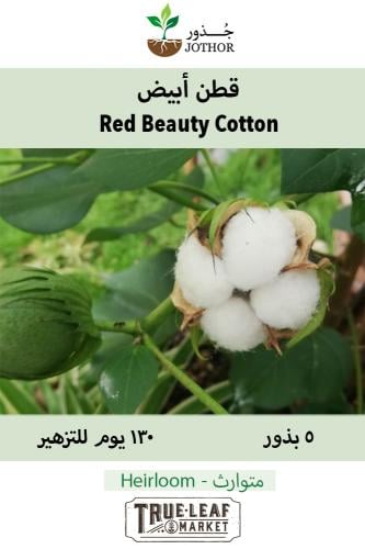 بذور قطن أبيض - Red Beauty Cotton Seeds