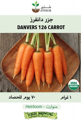بذور جزر دانفرز - Danvers 126 Carrot Seeds
