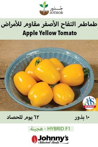 بذور طماطم التفاح الأصفر مقاوم للأمراض - Apple Yellow (F1) Tomato Seed