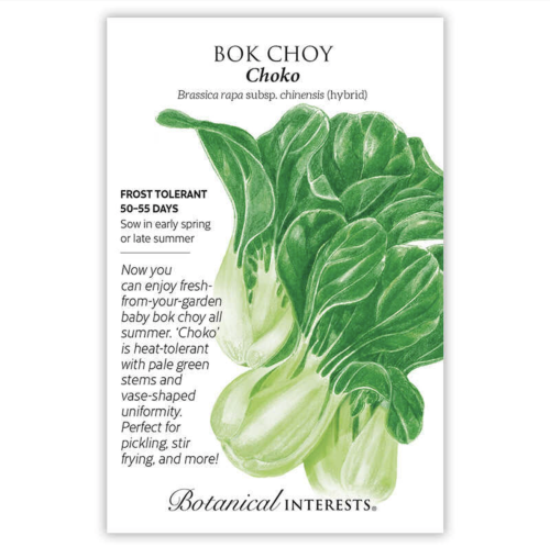 بذور بوك شوي شوكو - Baby Choi Choko Seeds