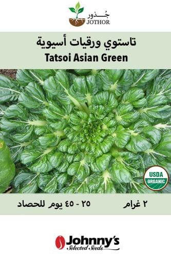 بذور ورقيات اسيوية تاستوي - Tatsoi Organic Asian Green Seed